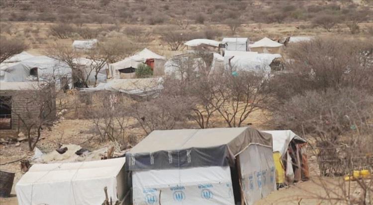 دعوة عاجلة للمنظمات الإنسانية لتلبية احتياجات النازحين حديثاً في مديرية مودية بأبين.