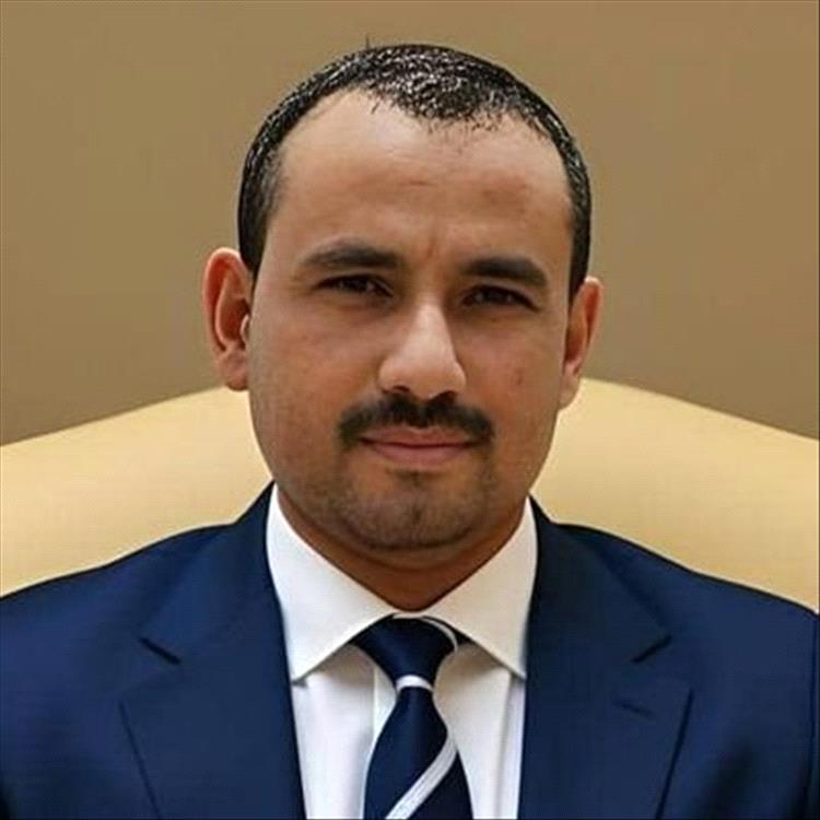 احمد الشعيبي: استمرار تولي رئيس الوزراء لحقيبة الخارجية يثقل كاهل الحكومة