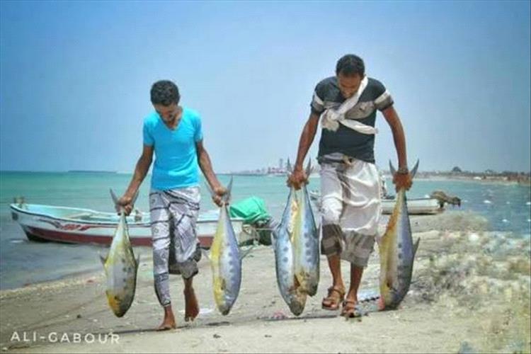 اختفاء 9 صيادين في سواحل ذُباب.. وأسرهم تناشد تحركًا عاجلًا لكشف مصيرهم