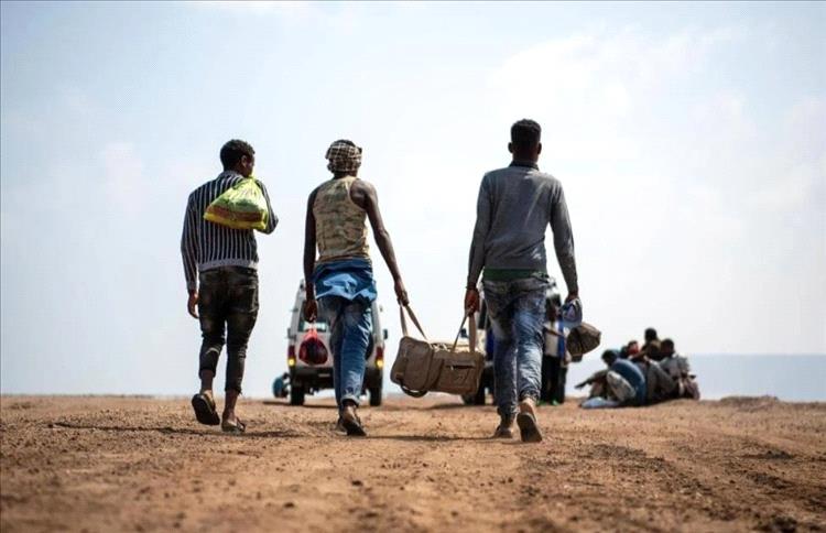 وصول 200 مهاجر إثيوبي إلى سواحل شبوة في خامس دفعة خلال فبراير
