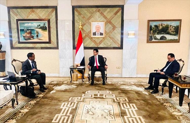 وكيل وزارة الخارجية يبحث مع بعثة الصليب الأحمر تعزيز التعاون المشترك