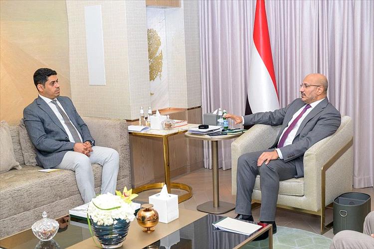 طارق صالح: دولة النظام والقانون هي الضامن الحقيقي لصون الحقوق والحريات