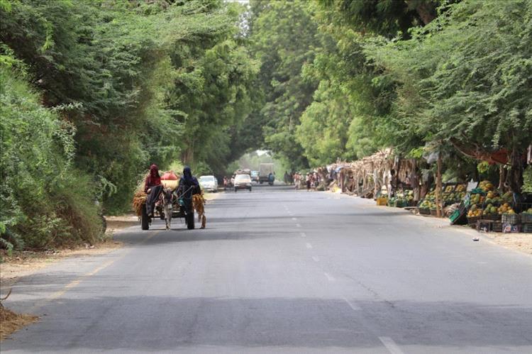 عمال محلج القطن بأبين يطلقون مناشدة عاجلة للمحافظ لصرف رواتبهم المتأخرة