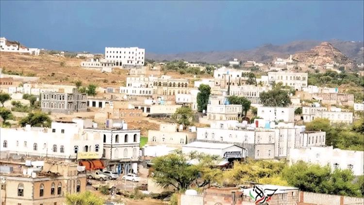 قوات النجدة في الضالع تضبط أكثر من ألف باكت أدوية مهربة في مديرية جبن