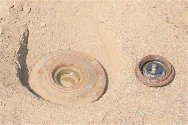 مقتل مواطن بانفجار لغم أرضي أثناء رعيه للأغنام في الحديدة