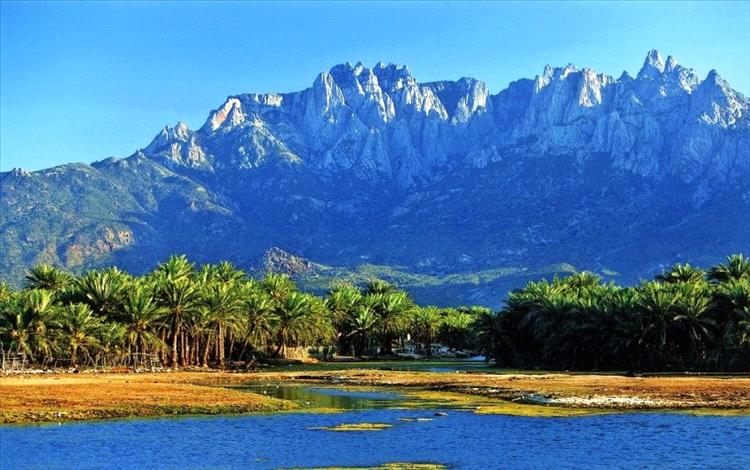 الاستعدادات للاحتفاء بيوم اللغة السقطرية في أرخبيل سقطرى