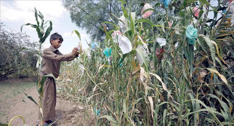 ممارسات حوثية تفسد نمط الاقتصاد الزراعي وتهدد بالكساد