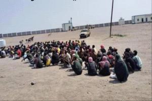 إحباط عملية تهريب 180 مهاجراً قبالة سواحل رضوم في شبوة