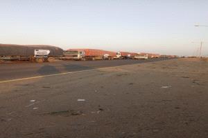 بدعم سعودي… توزيع سلال غذائية مجانية للأسر في العاصمة المؤقتة عدن