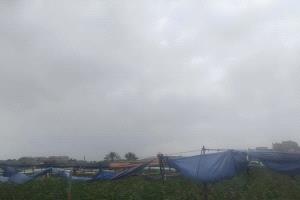 تحذير فلكي من موجة برد وصقيع تضرب اليمن حتى 20 فبراير