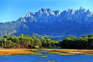 الاستعدادات للاحتفاء بيوم اللغة السقطرية في أرخبيل سقطرى