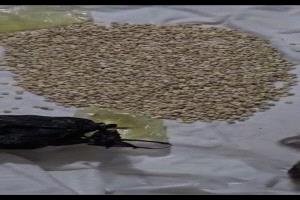 كتيبة أمن منفذ الوديعة تُحبط تهريب آلاف الحبوب المخدرة المتجهة للسعودية