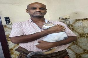 مناشدة إنسانية في عدن لدعم ملجأ خيري يؤوي 180 قطة بينها حالات مريضة ومعاقة