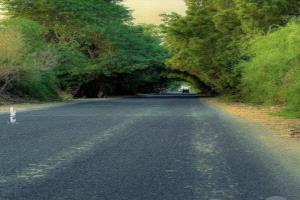 مدن سكنية ومشاريع عملاقة.. محافظة "أبين" على أعتاب تحول اقتصادي وتنموي غير مسبوق