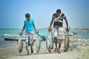 اختفاء 9 صيادين في سواحل ذُباب.. وأسرهم تناشد تحركًا عاجلًا لكشف مصيرهم