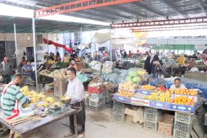 مدينة سيئون كما تبدو في غرة شهر رمضان 1447هـ