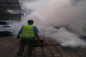 تواصل حملات الرش الضبابي ومكافحة الكلاب الضالة في عدد من أحياء صيرة بعدن