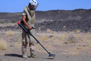 تقرير دولي: "مسام" يُطهر أكثر من 600 ألف متر مربع من الأراضي اليمنية خلال مطلع فبراير