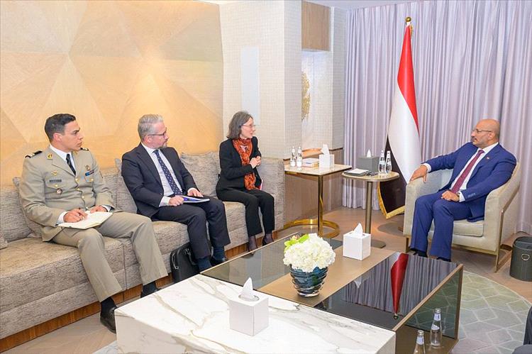 طارق صالح يبحث مع السفيرة الفرنسية جهود تثبيت الاستقرار وأمن الملاحة الدولية