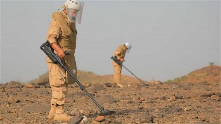 الأمم المتحدة: أكثر من 37 مدنيًا سقطوا بسبب الألغام والمخلّفات الحربية في الحديدة