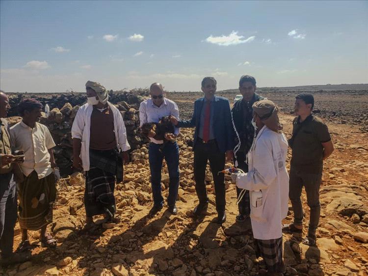 وفد وزارة الزراعة ينفذ زيارة ميدانية إلى منطقتي دكسم ونوجد للاطلاع على أوضاع القطاع الزراعي