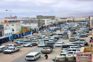 عضو مجلس القيادة الدكتور عبدالله العليمي يلتقي رئيس هيئة الأركان العامة وعددًا من رؤساء الهيئات العسكرية