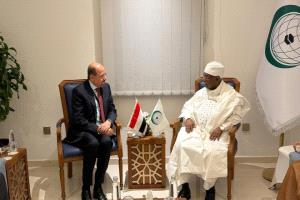 وزير الخارجية يلتقي الأمين العام لمنظمة التعاون الإسلامي