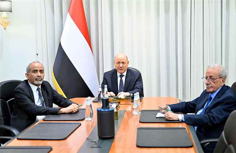 مجلس القيادة يؤكد اتخاذ جميع الإجراءات لمنع انتهاك السيادة اليمنية