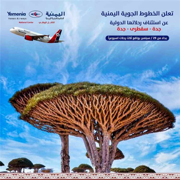 اليمنية تعلن استئناف رحلات جدة – سقطرى – جدة بواقع ثلاث رحلات أسبوعيًا