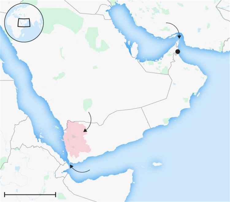 صحيفة بريطانية: إيران تسعى للسيطرة على باب المندب عبر الحوثيين وتنسيق مع حركة الشباب الصومالية