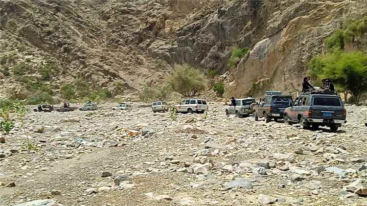 قبيلة الحدادين بيافع كلد تبعث رسالة شكر وعرفان لآل الجلادي تقديراً لموقفهم في العفو والصفح