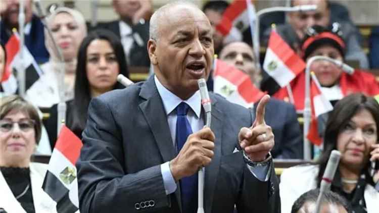 برلماني مصري: خطاب العليمي يؤسس لمرحلة جديدة عنوانها استعادة الدولة وسيادة اليمن