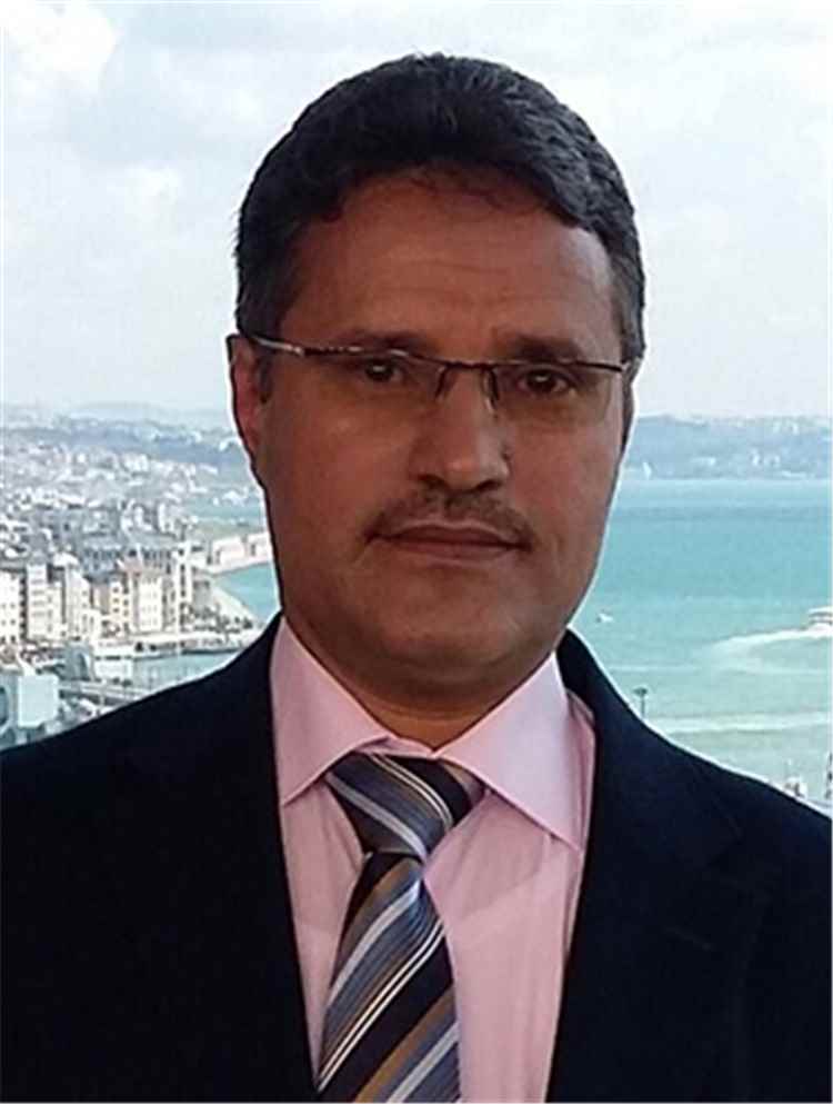 التميمي: الضربات السعودية استهدفت مفاصل النشاط العسكري للحوثيين باحترافية عالية