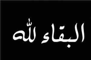 وزير التربية العبادي يعزي مدير عام التعليم الالكتروني في الوزارة بوفاة والدتها
