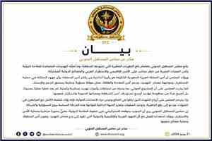مجلس المستقبل الجنوبي: أمن السعودية ركيزة لاستقرار المنطقة والحوثيون باتوا تهديدًا إقليميًا للملاحة والأمن