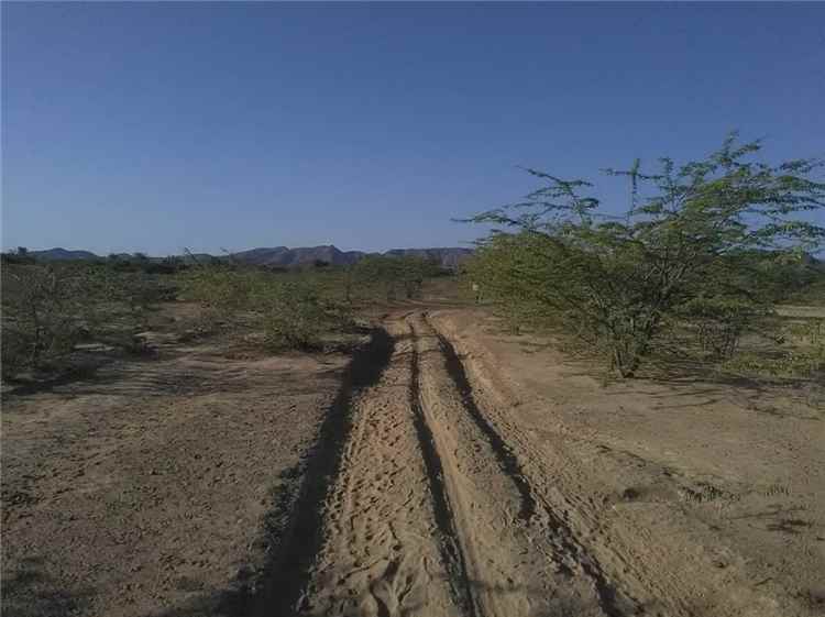 أهالي (جحرة ردوم) بمديرية الوضيع يناشدون المعنيين إصلاح طريقهم المتعثر لعقود.