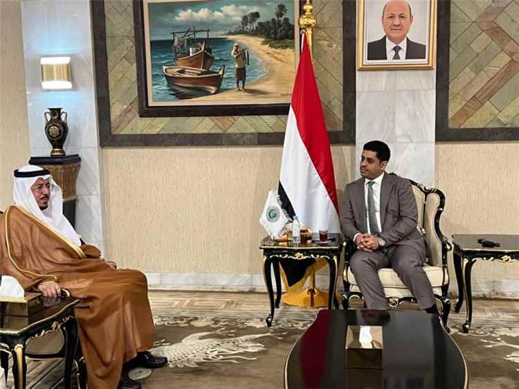 وزير حقوق الانسان يبحث مع منظمة التعاون الإسلامي سبل تعزيز التعاون والشراكة