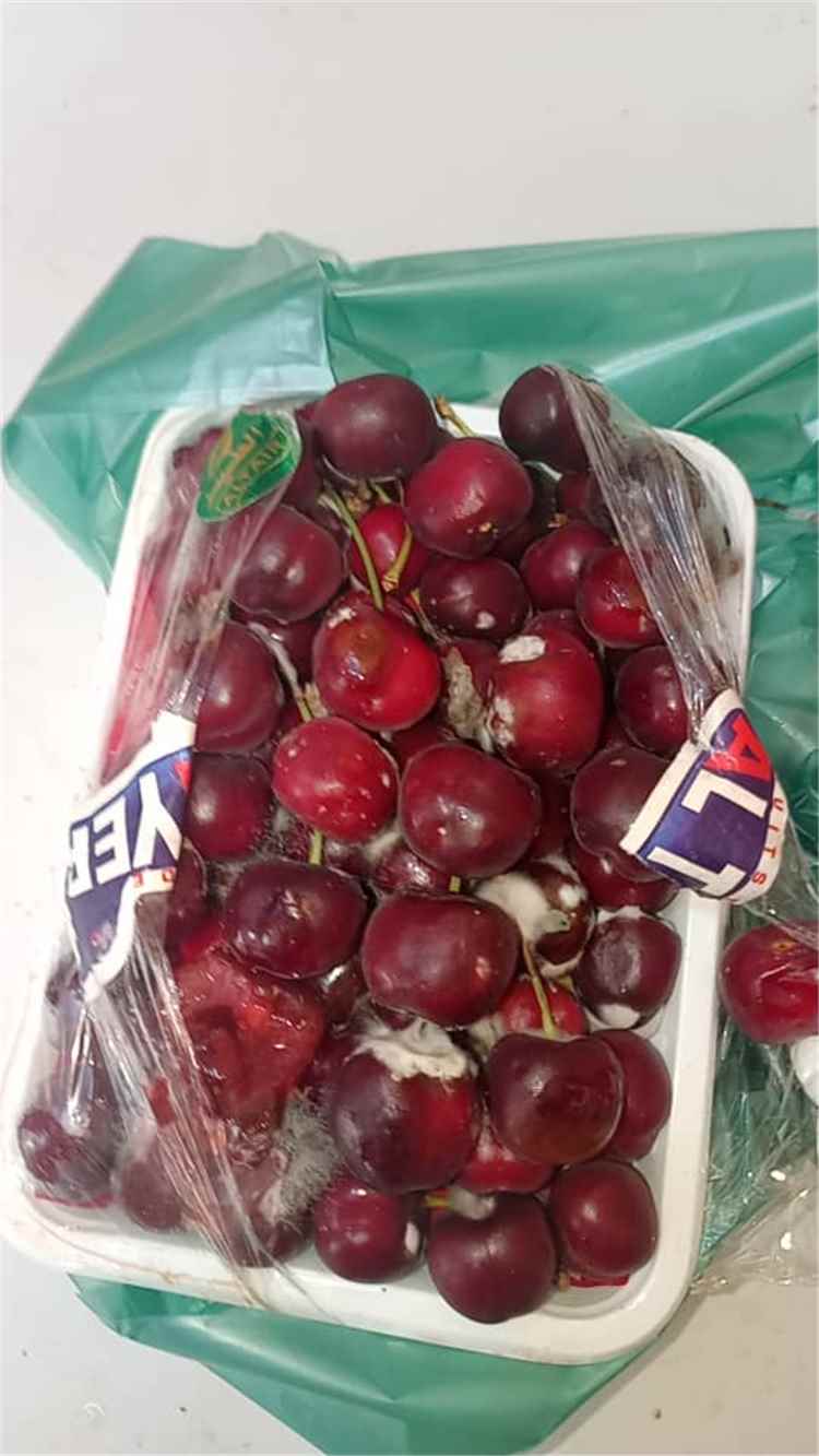 ضبط وإتلاف كميات كرز فاسدة بمديرية الشحر استجابة لبلاغ مواطن