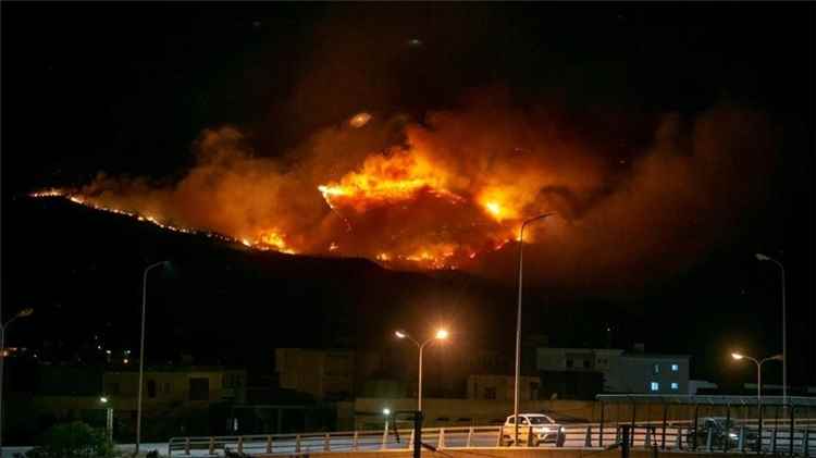 النيران تلتهم غابات جبل ببوش في تونس والدفاع المدني يسيطر على الحريق