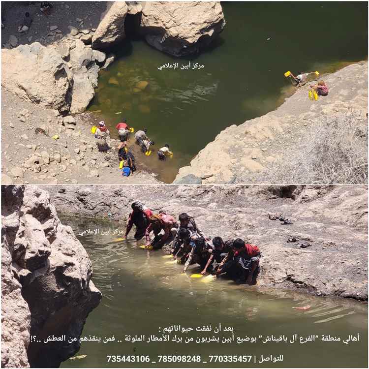 أهالي منطقة ”الفرع آل باقيناش” بوضيع أبين يشربون من برك الأمطار الملوثة .. فمن ينقذهم من العطش ..؟