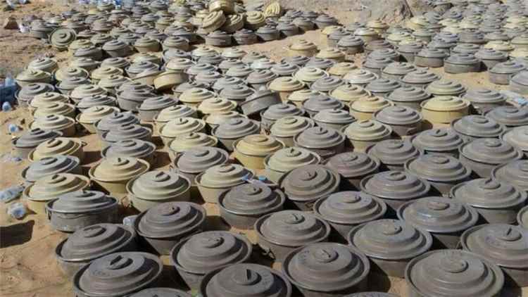 "مسام" ينزع 2.164 لغماً خلال أسبوع زرعتها المليشيات الحوثية الارهابية