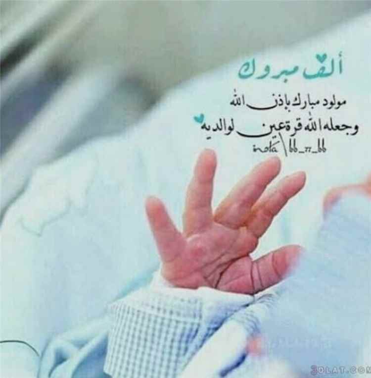 أنس في بيت القيفي