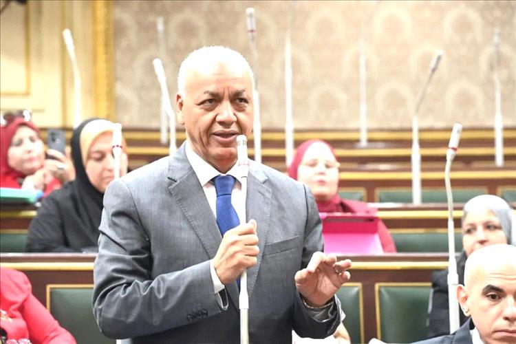 مسؤول حكومي يدعو النائب المصري بتوحيد الصفوف العربية لمواجهة التحديات الإقليمية