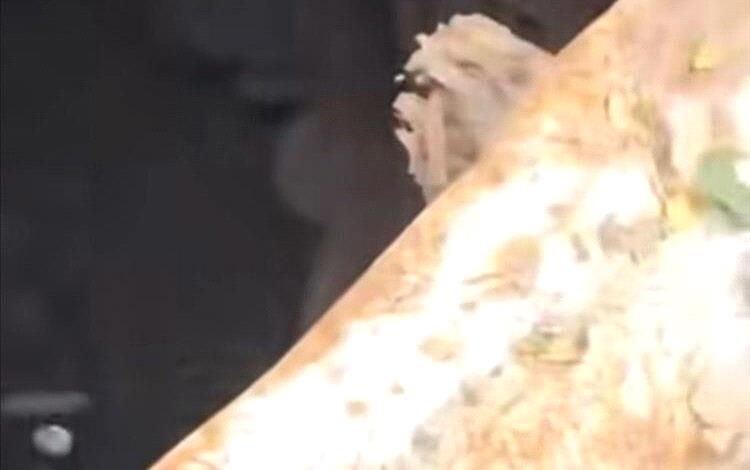 العثور على طفلين مفقودين داخل بئر مكشوف في تعز