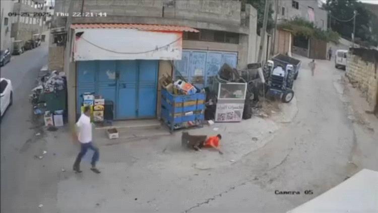 فيديو وصور.. كلب ضال يهاجم طفلين في أحد أحياء العاصمة المؤقتة عدن ويثير مخاوف الأهالي