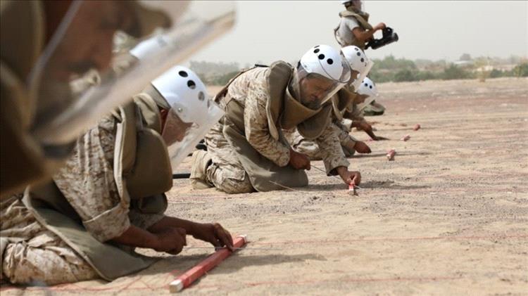 خلال أسبوع واحد.. “مسام” ينتزع 1263 لغماً وذخيرة ويطهر آلاف الأمتار من الأراضي اليمنية