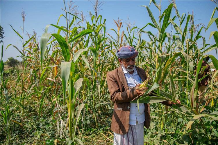 أولويات اليمن التنموية على طاولة "البنك الدولي"