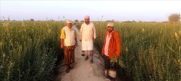 مدير مكتب الزراعة والري بأحور يستنكر الاعتداء على الدكتور محمد سالم الخاشعة