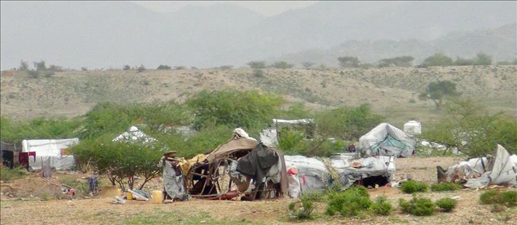 ارتفاع أعداد النازحين في اليمن إلى 5.2 مليون شخص