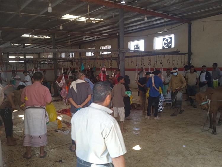 بن عطاف لعدن الغد: هدفنا من تخفيض أسعار اللحوم في سوق المواشي هو التخفيف على ذوي الدخل المحدود